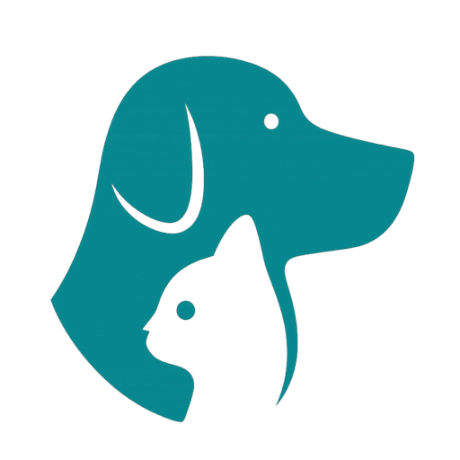 tailwise.in